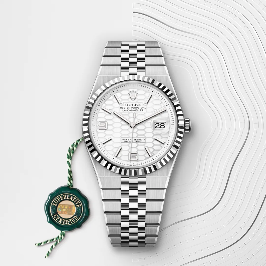 Rolex Land-Dweller 40 White Gold - view 5
