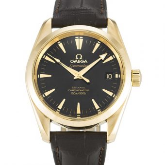 Omega Aqua Terra 150m Gents 231.20.42.22.06.001 - view 6